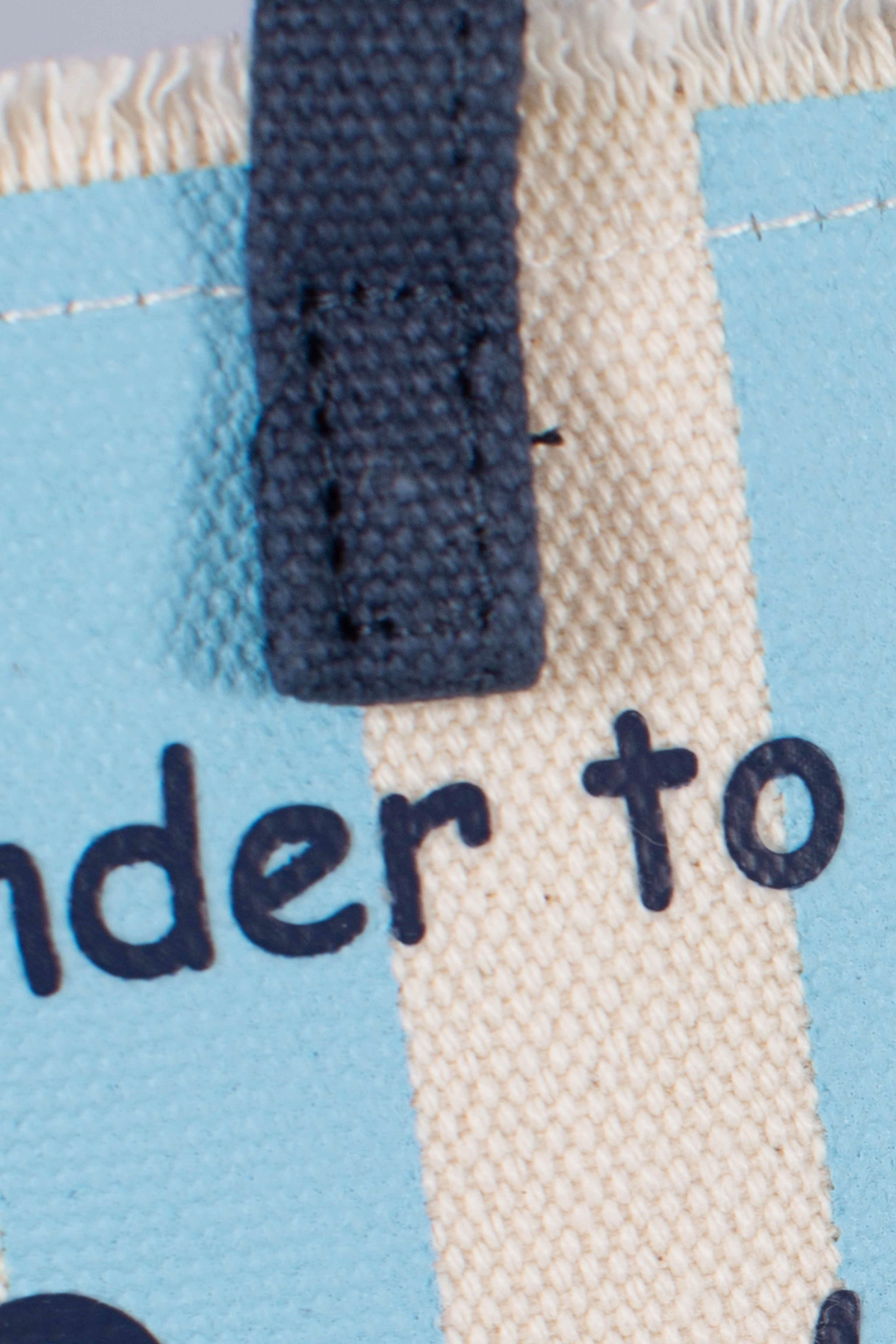 Phone Bag in canvas di cotone con stampa a righe azzurro